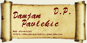 Damjan Pavlekić vizit kartica
